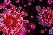 За минулу добу від коронавірусу на Вінниччині загинула одна людина