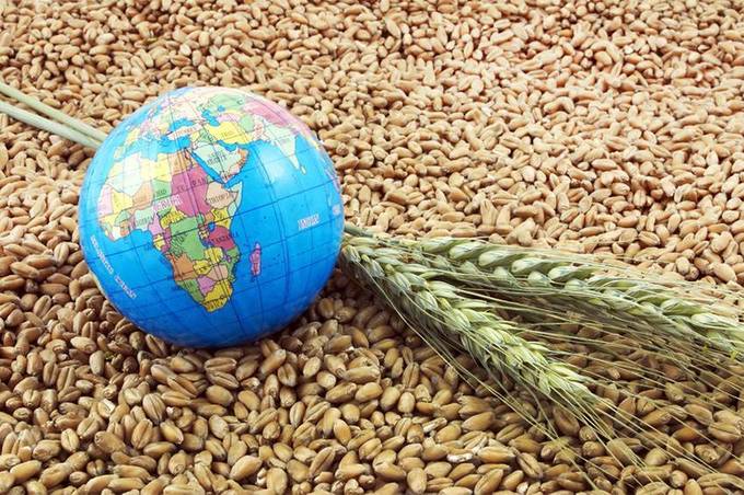 Єврокомісія створила план, щоб Україна могла експортувати своє зерно