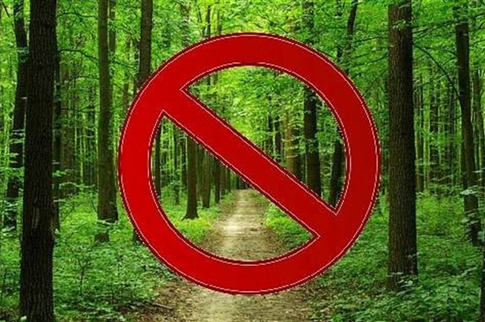 На Вінниччині й надалі дятиме березнева заборона на відвідування лісів 