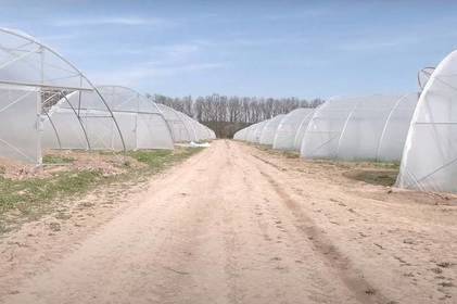 На Вінниччині фермер будує 32 теплиці за грантові кошти
