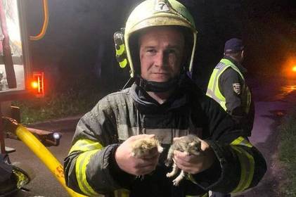 На Вінниччині надзвичайники врятували з пожежі чоловіка та новонароджених кошенят