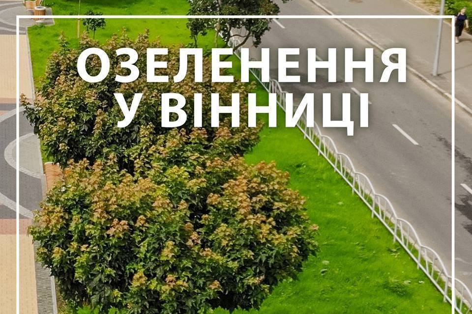 Цього року у Вінниці висадять понад 2000 дерев 